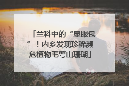 兰科中的“显眼包”！内乡发现珍稀濒危植物毛萼山珊瑚